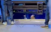Max Cortázar cae en una pileta de agua en el acto de relanzamiento del PAN (Videos)