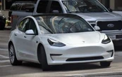 Adulto mayor muere tras ser atropellado por un Tesla en Nuevo León