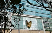 IMSS niega atención médica a enfermo terminal por falta de insumos y recibe demanda