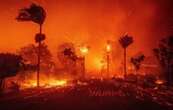 La devastación de los incendios forestales en California (Fotogalería)