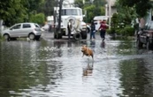 Azotarán lluvias intensas con riesgo de encharcamientos e inundaciones entre lunes y jueves