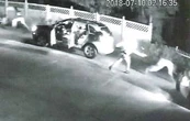 Pagarán 9 mdd a hombre que recibió un disparo por parte de un policía durante una parada de tráfico