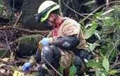 Hallan sin vida a profesor que desapareció en un volcán hace tres meses