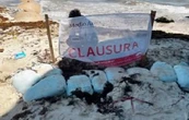 Empresa ligada a la Conade viola ley ambiental para torneo de voleibol en Playa del Carmen