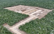 Profepa suspende la construcción de granja avícola en Kinchil, Yucatán