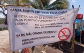 Tras dos años de lucha del pueblo maya, Profepa clausura definitivamente la granja de Santa María Chi