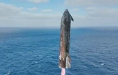 Lanzamiento del Starship 11 evidencia aumento de basura espacial en Playa Bagdad