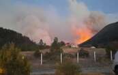 Se desata incendio en Sierra de Arteaga, Coahuila; viento impide que logre ser controlado (Videos)