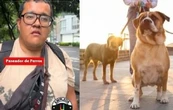 Paseador de perros sorprende con lo que gana al mes, más que un profesionista (VIDEO)