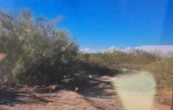 Ejecutan a tres niñas en Sonora; buscadoras encontraron los cuerpos baleados