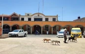 Teuchitlán entre incertidumbre y tensión tras detención del alcalde Murgía por caso Rancho Izaguirre