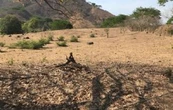 Denuncian que más de 500 jóvenes están recluidos por una organización criminal en Tierra Caliente