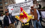 Galleros y taurinos marchan para exigir que sus actividades salgan de la agenda animalista