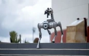 Perro robot vigilará Zacatecas; puede portar armas y realizar rescates