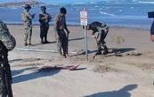 Ambientalistas denuncian presunta invasión de militares estadunidenses en suelo mexicano