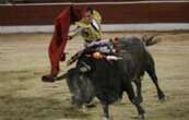 Brugada prohíbe las corridas de toros con violencia; estas son las nuevas reglas (Video)