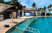 Clausura definitiva y multa millonaria al delfinario del hotel Barceló en la Riviera Maya (Video)