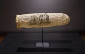 Museo de los Países Bajos exhibe condón de casi 200 años de antigüedad