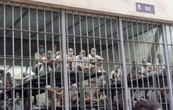 Migrantes podrán impugnar deportaciones de EU a prisión de El Salvador