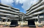 Ordenan demoler edificio en Tulum que pone en riesgo la anidación de tortugas marinas