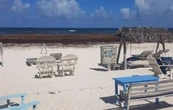 Crisis en Tulum: comerciantes piden perdón a turistas por malos tratos y precios exorbitantes