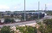 Semarnat autoriza nuevo desmonte de selva para la terminal de carga del Tren Maya en Cancún