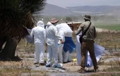 Colectivo encuentra fosa con restos humanos en rancho de Palmar de Bravo, Puebla