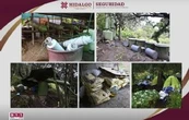 Hallan tercer narcolaboratorio en las montañas de Hidalgo