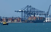 Con ampliación del Puerto de Veracruz, Sheinbaum pone en peligro a los arrecifes del Golfo de México