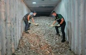Tailandia incauta más de 200 toneladas de basura electrónica ilegal de EU