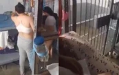 Internas transmiten en vivo desde penal de Tijuana; gobierno separa al director (Video)