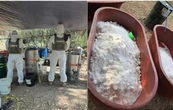 Desmantelan narcolaboratorio en Michoacán; producía dos toneladas de metanfetamina por semana