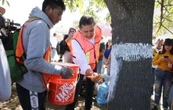 Congreso de Puebla apruba Ley de arbolado "fast track"; ambientalistas señalan capricho de Armenta