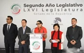 Senadores de MC anuncian parlamento abierto para reforma sobre Ley de Amparo
