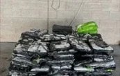 CBP incauta metanfetamina valuada en más de 7.6 mdd en cargamento de rosas de México a EU
