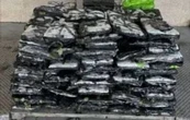 CBP incauta metanfetamina valuada en más de 7.6 mdd en cargamento de rosas de México a EU