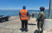 Rescatan a ballena jorobada que estaba enmallada en redes de pesca en Baja California (Video)