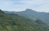 Organizaciones exigen suspensión inmediata y definitiva de la carretera San Cristóbal-Palenque