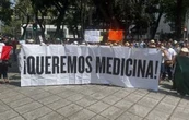 “Es mentira, ¡no hay quimio!”: director de la ONG Nariz Roja contradice a Sheinbaum
