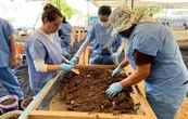 Trabajos forenses en Jojutla avanzan sin plan real de identificación