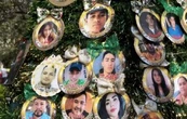 Colectivo de búsqueda colocan Pino la Esperanza por los Desaparecidos en Reynosa