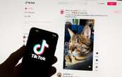 TikTok retirará programas que pagan a usuarios por ver videos