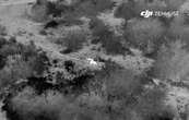 Así es como la fotografía aérea de los drones ayuda a monitorizar y proteger el león africano en Uganda