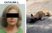 Vinculan a proceso a Catalina “L”, mujer que amarró y arrastró a un perro con su camioneta