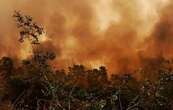 Bolivia declara la emergencia nacional por los incendios forestales