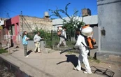 Aumenta la cifra de enfermos por dengue en Oaxaca, hay más de mil