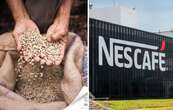 Nestlé, la empresa multimillonaria que se aprovecha de campesinos chiapanecos