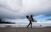 Cierran popular playa de California después de que un tiburón derribó a un surfista de su tabla