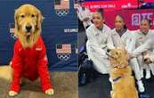 Beacon, el perro de terapia del equipo de gimnasia de Estados Unidos