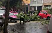 La CDMX, en alerta amarilla por frío, lluvias y rachas de viento